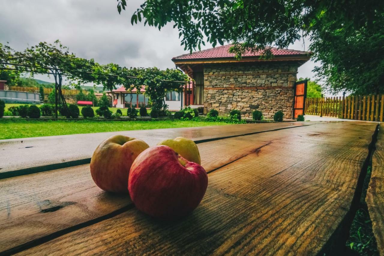 Завоя Hotel Krushuna Buitenkant foto